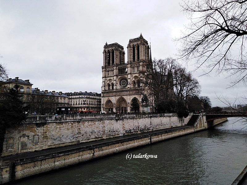 Katedra Notre Dame