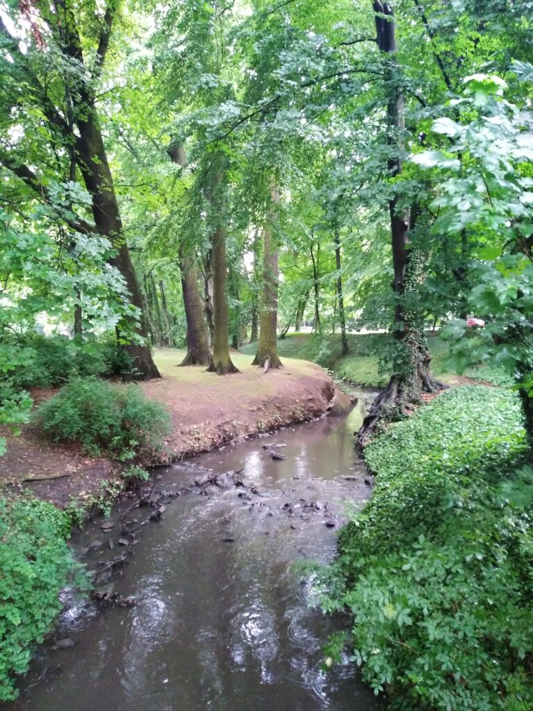 Poznań tereny zielone