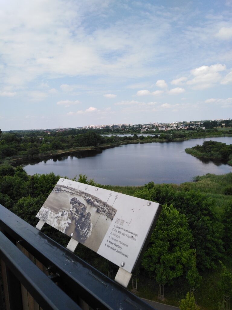 Poznań tereny zielone