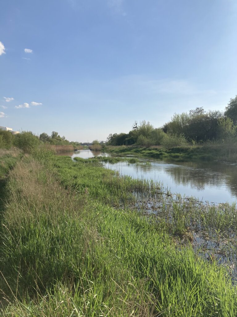 Warta Poznań tereny zielone