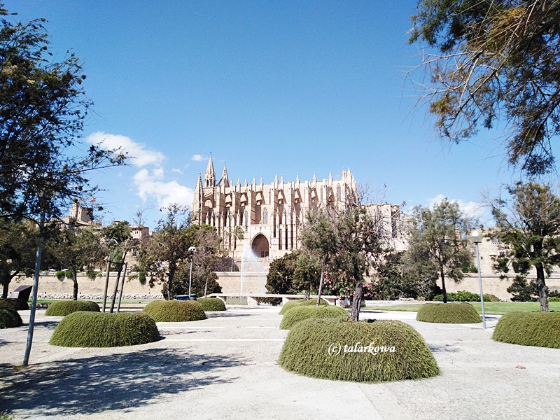 Katedra La Seu Palma de Mallorca