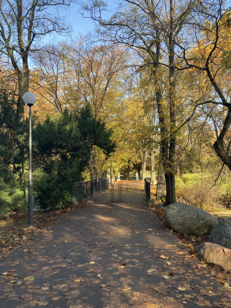 Park Wilsona Poznań