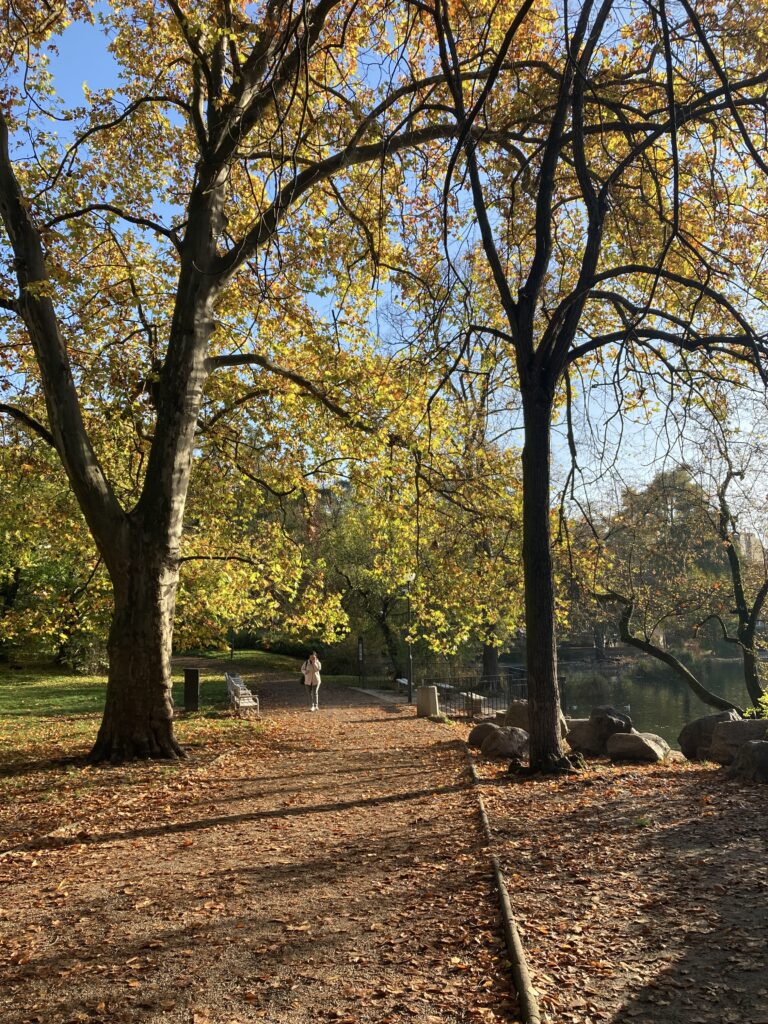 tereny zielone Poznań Park Wilsona