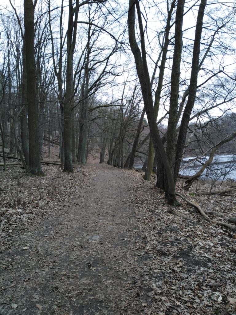 Wielkopolski Park Narodowy
