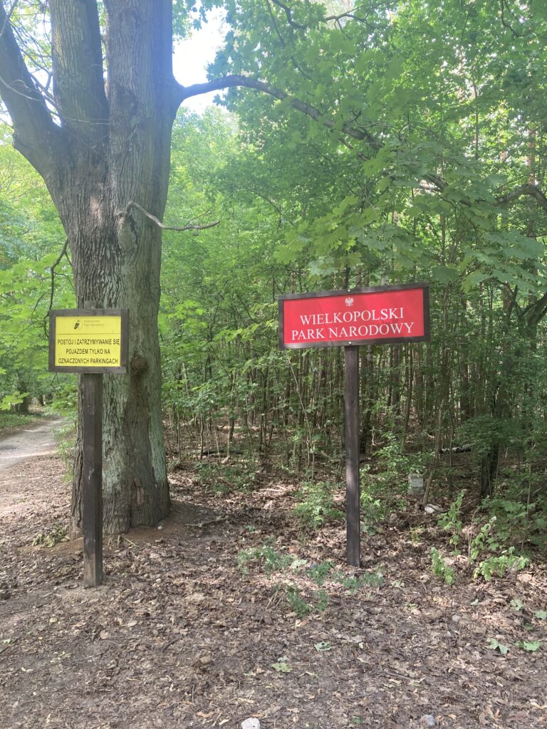 Wielkopolski Park Narodowy
