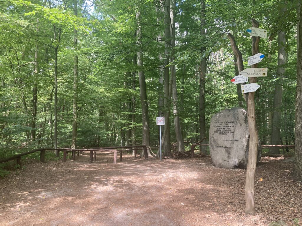 Wielkopolski Park Narodowy