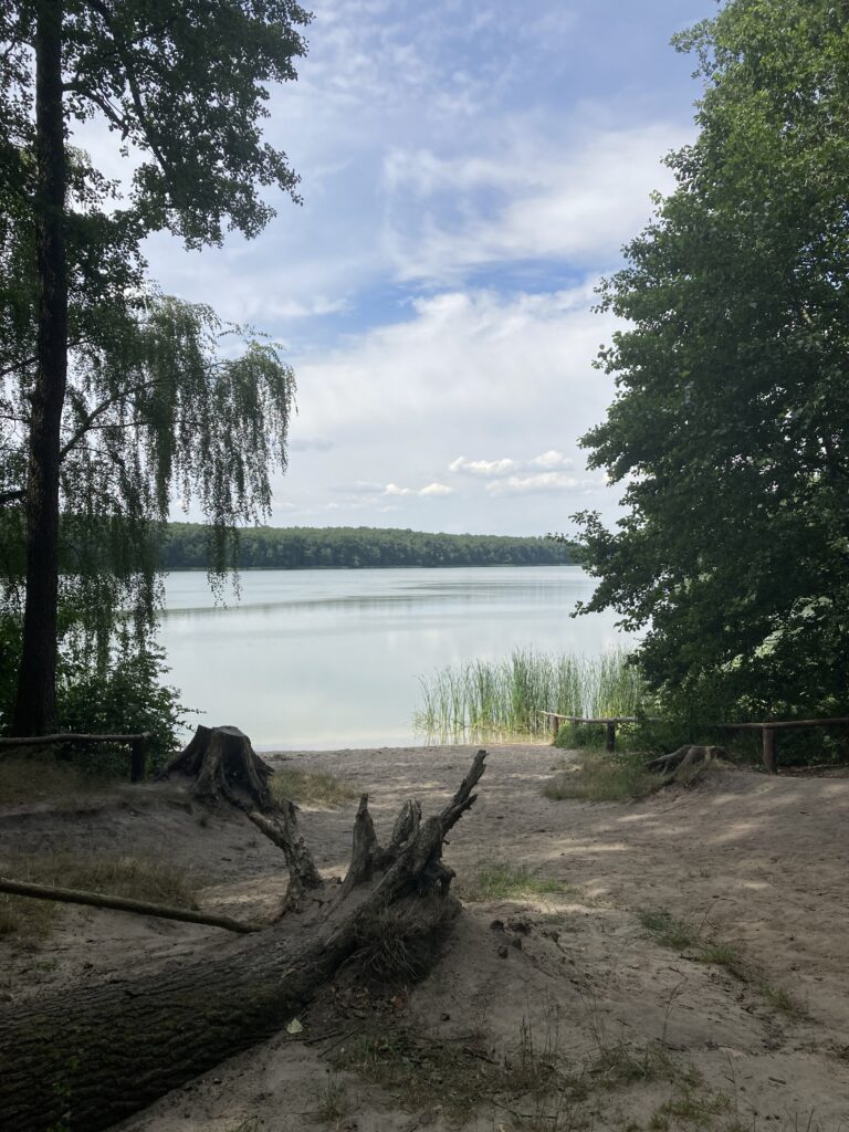 Wielkopolski Park Narodowy