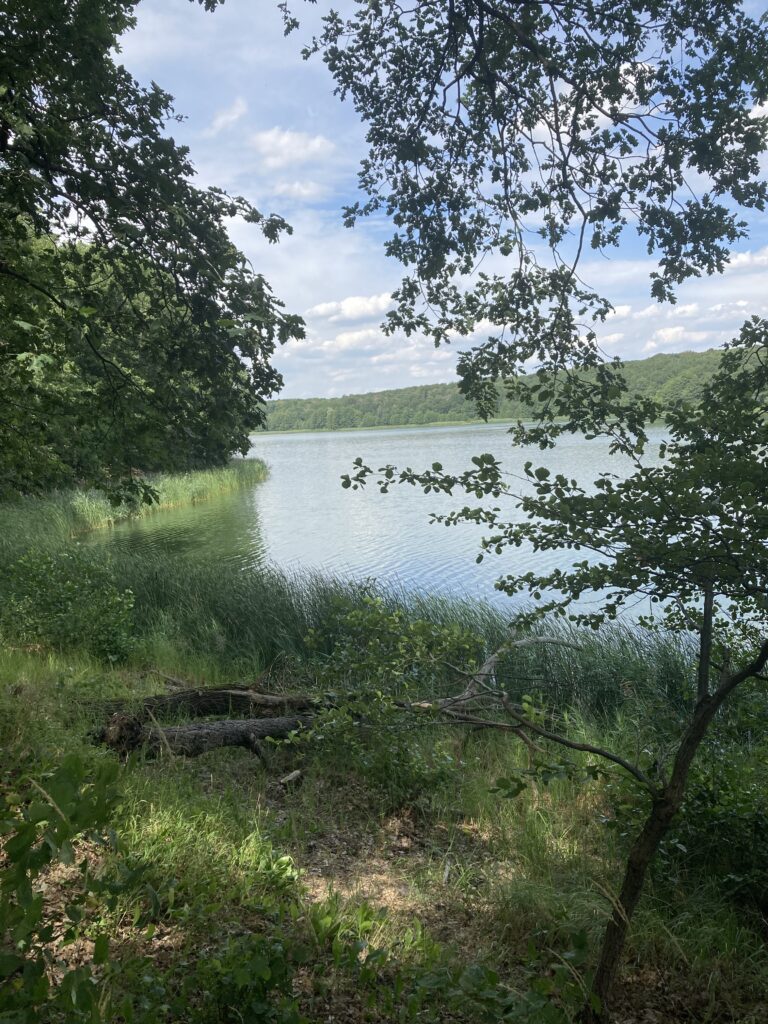 Wielkopolski Park Narodowy