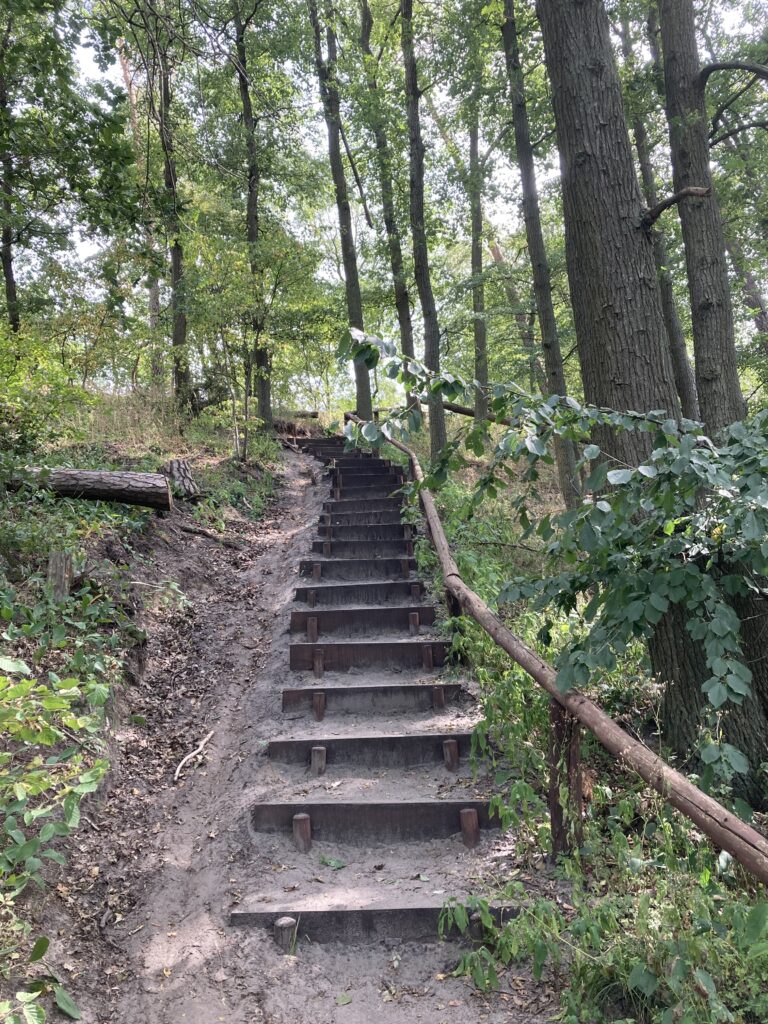 Wielkopolski Park Narodowy